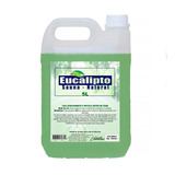 Essência De Eucalipto Concentrado Para Sauna 5 Litros