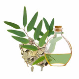 100ml