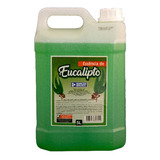 5l