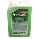 Essência Eucalipto Concentrado Para Sauna Galão De 1 0 Litro