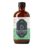 Essência Óleo Concentrada Aromática Carro Novo 500ml
