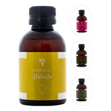 Essências Bíblicas Concentradas 100ml Premium