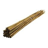 Estacas Tutor De Bambu