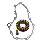 Estator Bobina Bmw F800gs F 800 Gs Junta Na Troca 
