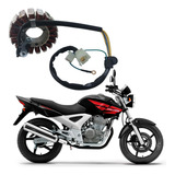 Estator Cbx 250 Twister Com Bobina De Pulso 2006 2007 2008