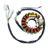Estator Do Magneto Yamaha Xt 225 Tdm 225 Modelo Original