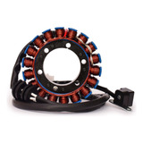 Estator Drag Star 650 Xvs 05 08 Wortech
