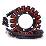 Estator Drag Star 650 Xvs 97 04 Junta Wortech