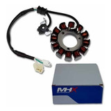Estator Magneto Fazer 150 Xtz 150 Factor 125i 150 Novo