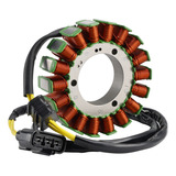 Estator Para Segway Villain Sx10 Fugleman Ut10 Crew 1000