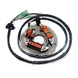 Estator Para Yamaha Jet Ski 6R8 85560 00 00 SuperJet 650 Wave Runner III 650 Wave Runner LX VXR 650 VXR Pro 700 Wave Blaster 700 FX 1 FX700 SJ650 SJ700 1990 1995