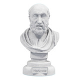 Estátua Busto Hipócrates Pai Da Medicina