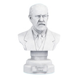 Estátua Busto Sigmund Freud Psicanalise Estatueta