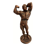 Estatueta Arnold Bronze De Resina Decoração