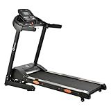 Esteira Ergométrica Elétrica Gallant Elite Pro 3 0hp 16km H 120kg 220v Gee12e30a 220pt 