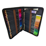 Estojo Lápis Colorido Desenho Pintura Profissional Pincel