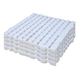 Estrado Piso Camara Frigorifica Fria E Outros 5x50x50 4pçs