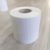 Etiqueta Térmica 60x30 Balança Filizola Elgin Zebra 20 Rolos Cor Branco