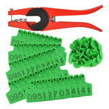 Aa