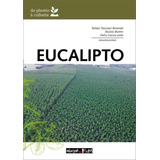 Eucalipto Do Plantio A Colheita