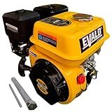 EVALD Motor à Gasolina 7 HP 4 Tempos Multiuso Partida Manual EVS210F