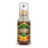Evomel Spray De Própolis Com Cravo E Canela 30ml