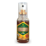 Evomel Spray De Própolis Com Cravo E Canela 30ml