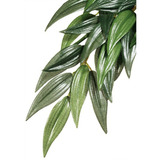 Exo terra Planta Plastica Para Terrario Ruscus Small Pt 3031