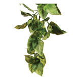 Exo terra Planta Plastica Terrario Amapallo Small Pt 3001