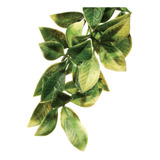 Exo terra Planta Plastica Terrario Mandarin Medium Pt 3012
