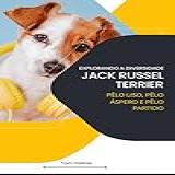 Explorando A Diversidade Jack Russel