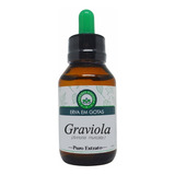 Extrato De Graviola 60ml Tintura Mãe