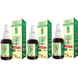 Extrato De Própolis Verde Puro 70 Apisflora Imunidade Kit 3