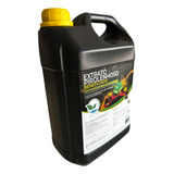 5l