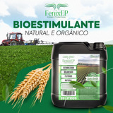Extrato Pirolenhoso Fenixep Orgânico Alto Desempenho 20 L