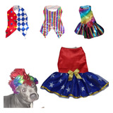 Fantasia Carnaval Frevo Princesas Arlequim Golden Pitbull