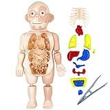 Faruxue Kits De Brinquedo De Anatomia