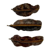Candomblé