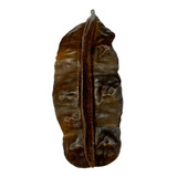 Fava De Aridan Africana Original Unidade 