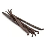 Fava De Baunilha Bourbon Madagascar Premium 1 Un A Vacuo