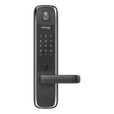 Biometria
