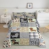 Feelyou Jogo De Cama King Size Com Salsicha Dachshund Para Crianças Meninos Meninas Filhotes Cachorros Microfibra Conjunto De Edredom Fofo