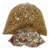 Feijão Bolinha 1 Kg 10 Outros Tipos De Sementes brinde