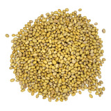 1kg