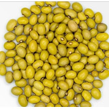 Feijão Bolinha Amarelo 5 kg