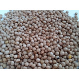 Feijão Guandu Andu Mandarim 4kg Sementes Para Plantio
