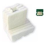 Feltro Caixa Manutenção Chip Epson L6161 L6171 L6191 14150