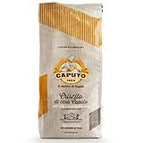 Fermento Mae Desidratado Seco Caputo Criscito Levain 1 0 Kg
