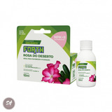 60ml