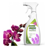 Floração